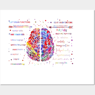 Left and right brain function Posters and Art